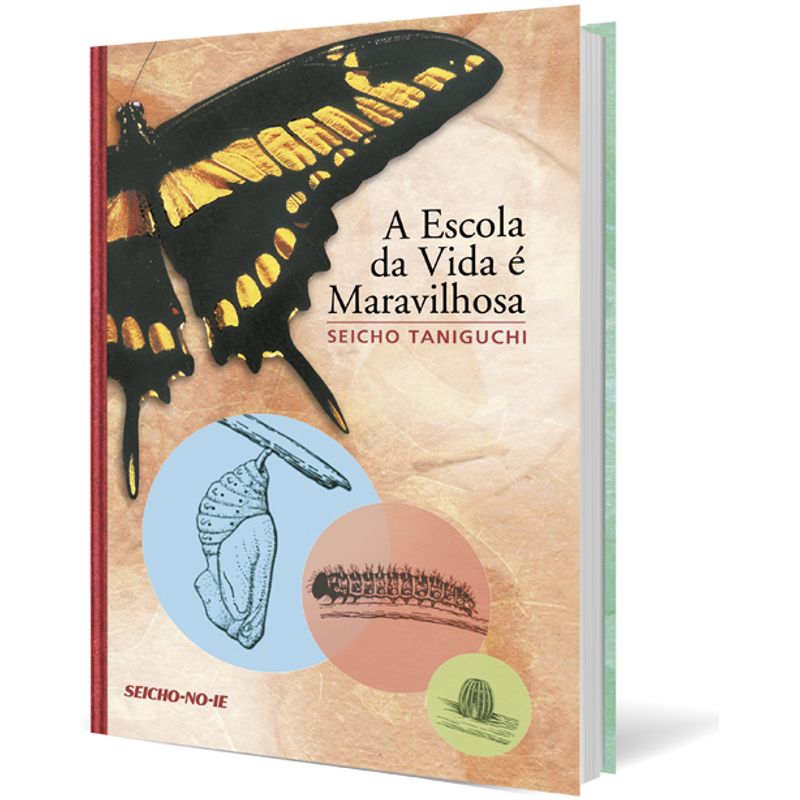 A-Escola-da-Vida-e-Maravilhosa