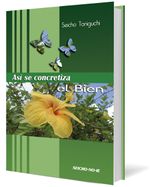 Asi-se-concretiza-el-bien